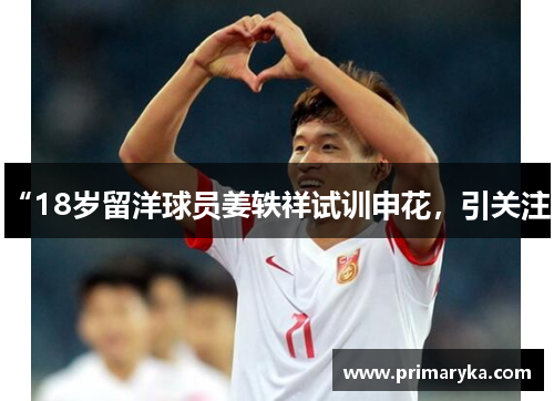“18岁留洋球员姜轶祥试训申花，引关注”